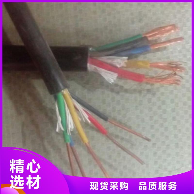 特種電纜屏蔽電纜誠信經(jīng)營現(xiàn)貨現(xiàn)發(fā)