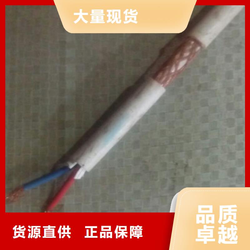 鎧裝計算機電纜N-DJYJP1VRP1-32免費拿樣