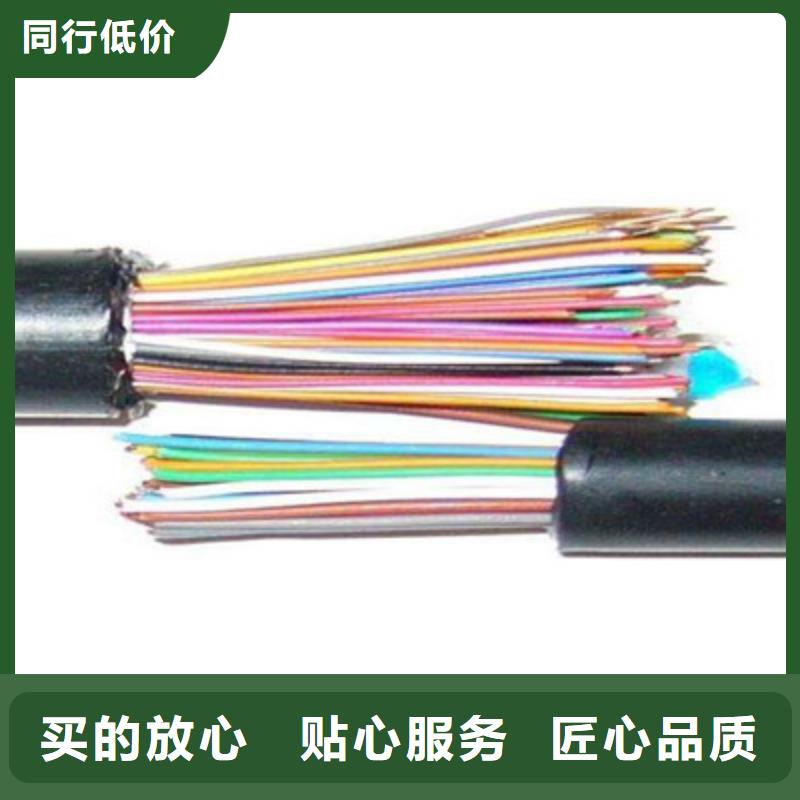 RS485-ASTP-120鎧裝通訊電纜10X0.75