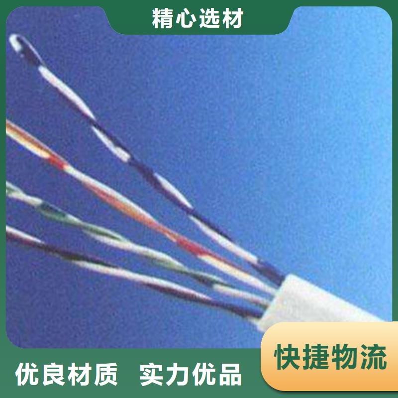 通訊電纜6XV18303對1.0