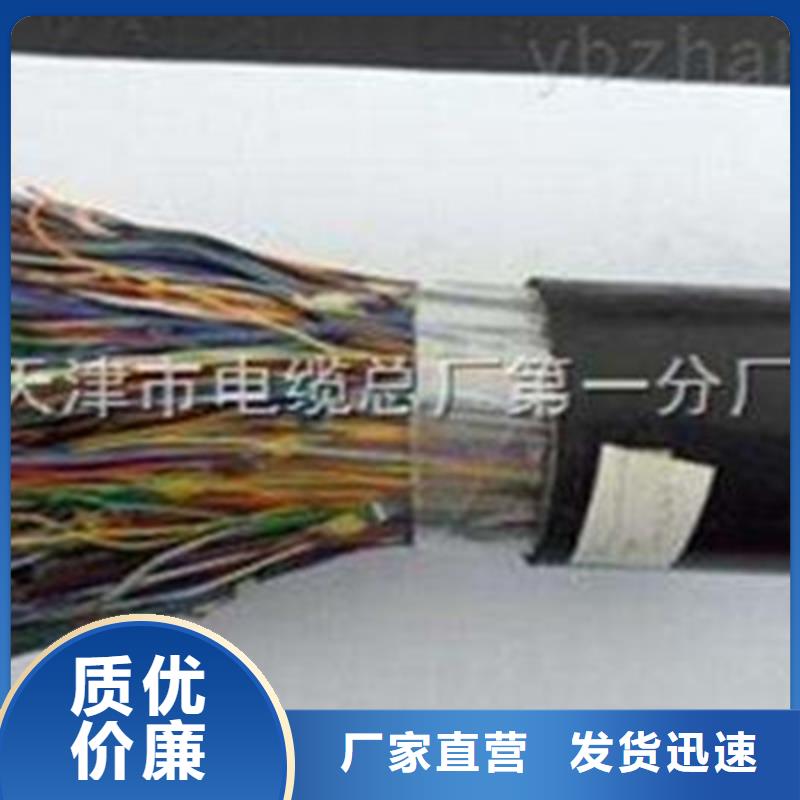 通信電纜屏蔽電纜廠家直營