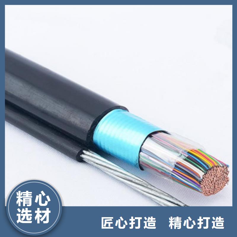 通信電纜信號(hào)電纜保質(zhì)保量