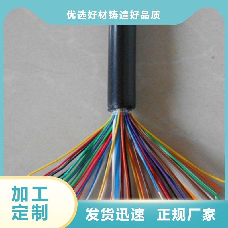 阻燃鎧裝廣播線ZR-HYPV22價格公道