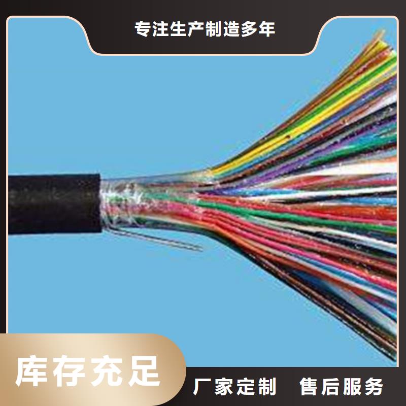 通訊電纜6XV18303對1.0
