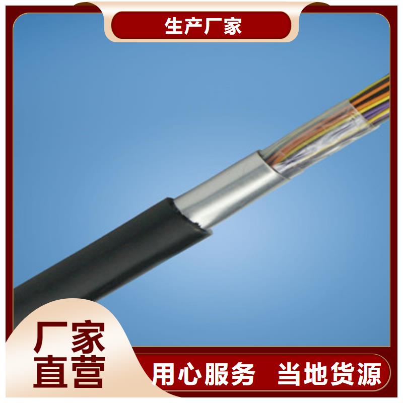 阻燃鎧裝廣播線ZR-HYPV22價格公道