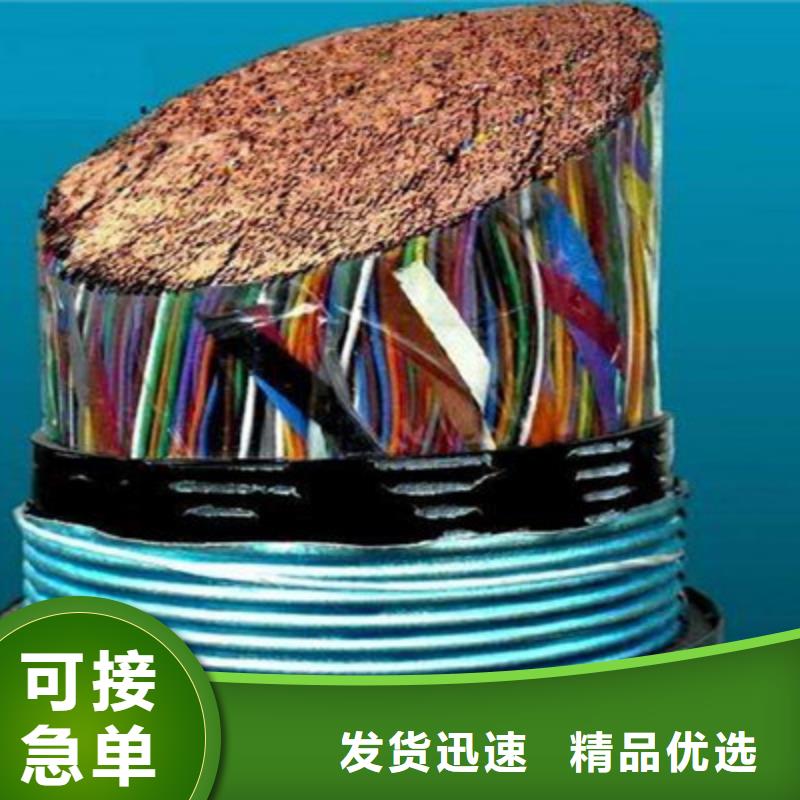 通信電纜信號(hào)電纜量大從優(yōu)