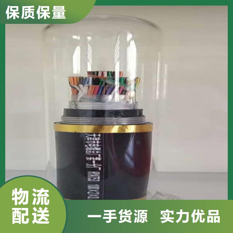 鎧裝通訊電纜ASTP-1203芯1.5