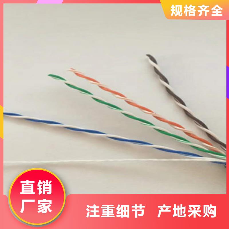 通訊電纜6XV18303對1.0