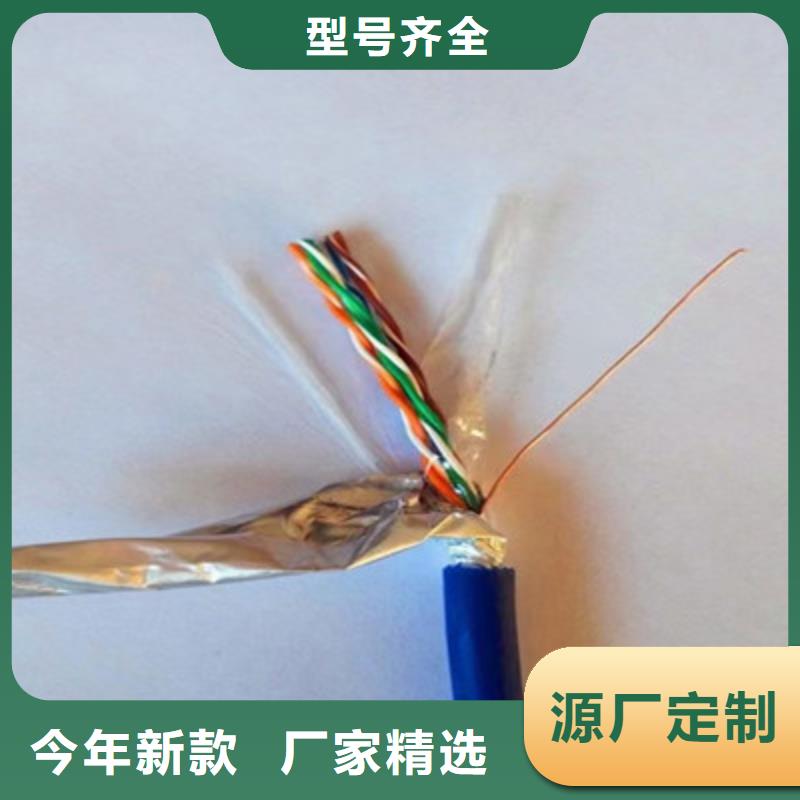 鎧裝DP通訊線廠家