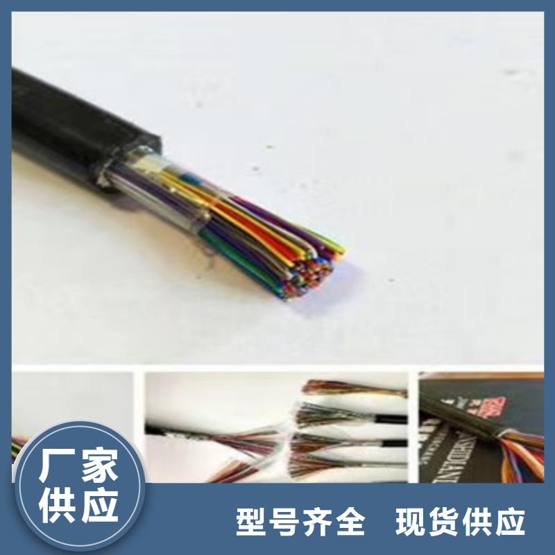 ZRA-HSGWPP222X5L阻燃網線6對2.5