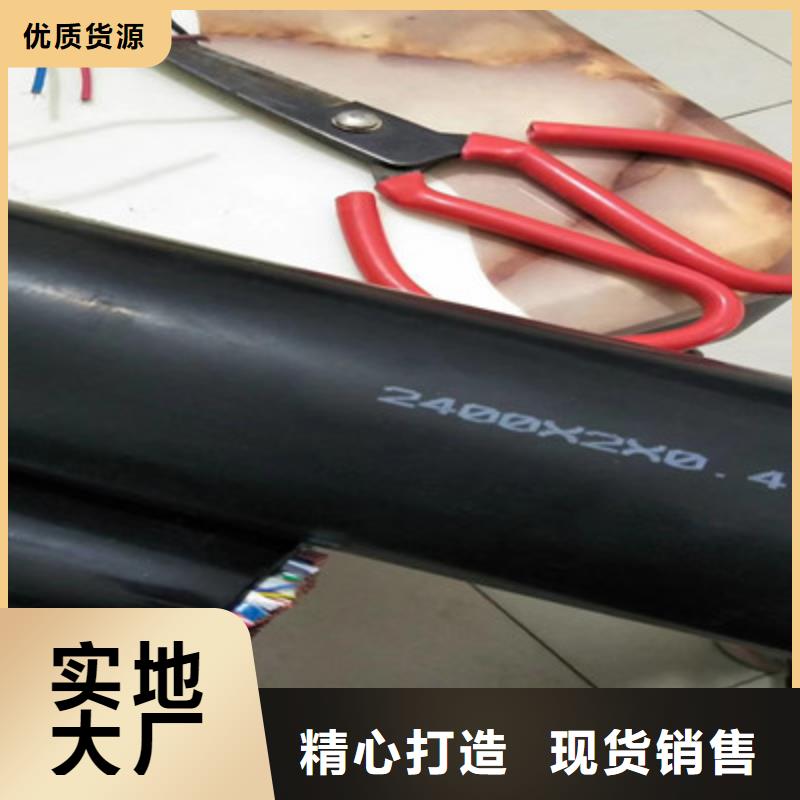 通信電纜屏蔽電纜廠家直營