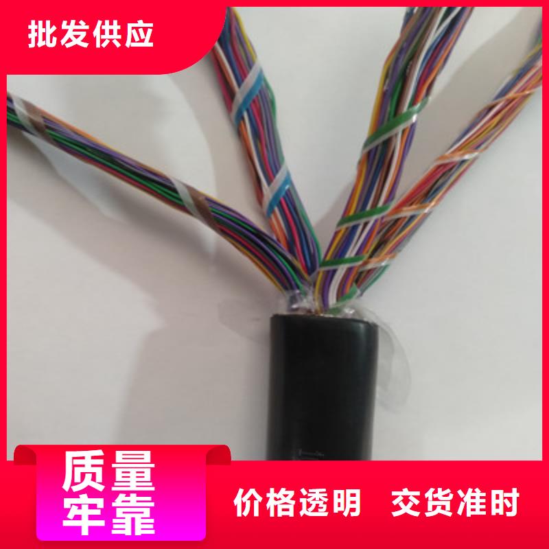 通信电缆视频-通信电缆-山西省吕梁市兴县|离石|运城|晋城|太原|阳泉|大同【同城】生产商