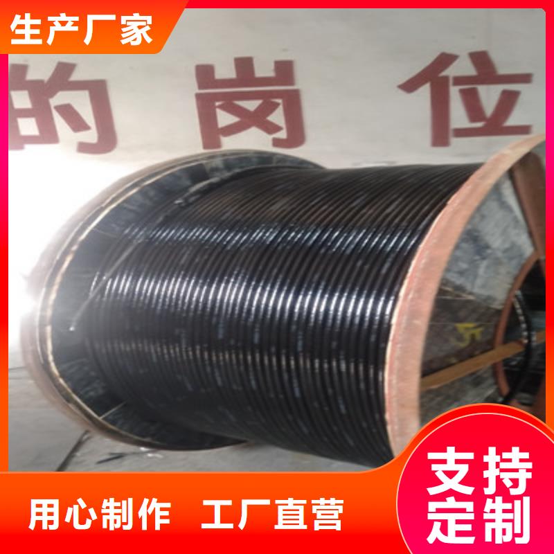 阻燃鎧裝廣播線ZR-HYPV22價格公道
