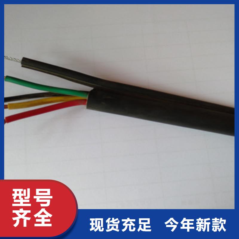 GS-HTPVRS屏蔽電纜為您介紹