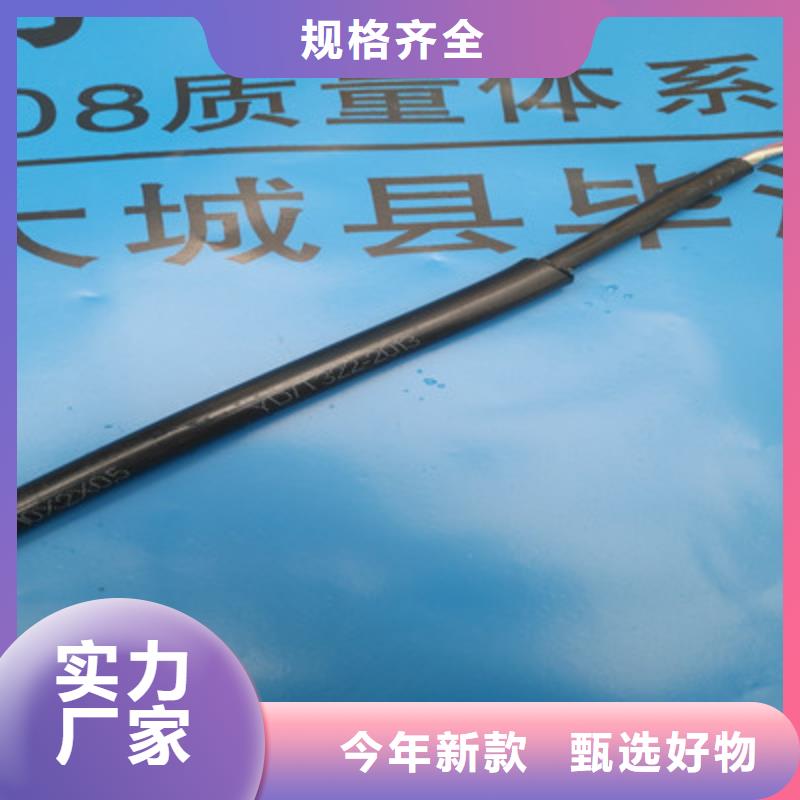 通訊電纜CO-IREV-SX供應(yīng)商