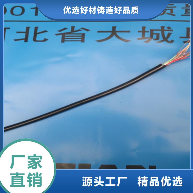 CAN-DW-RS485/92特種電纜1對1.5