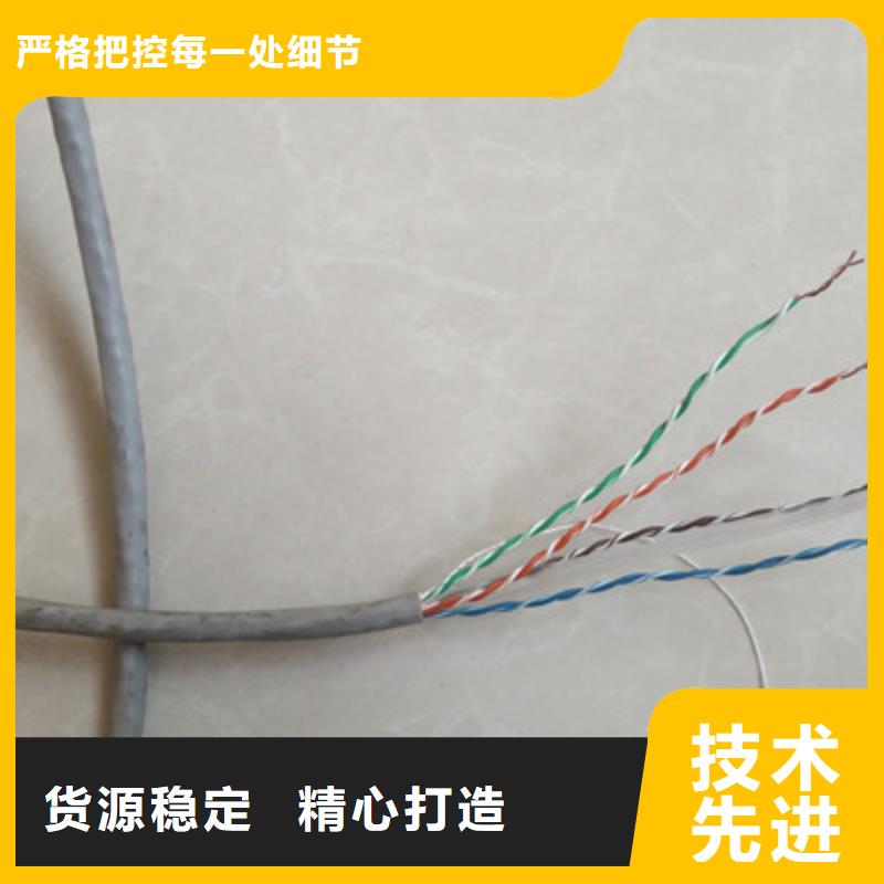 HAPVPSX雙絞通訊電纜承接