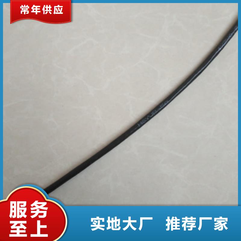 HAPVPSX雙絞通訊電纜承接