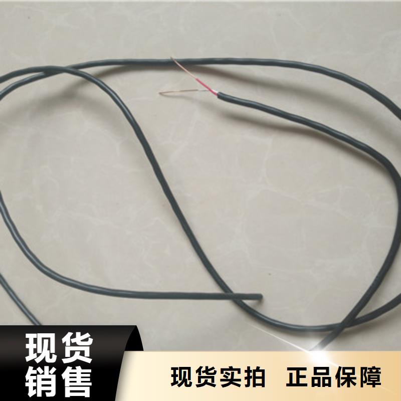 鎧裝DP通訊線廠家