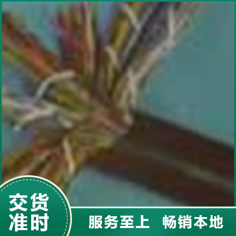 BEIDEN-1419A通訊電纜12X0.3