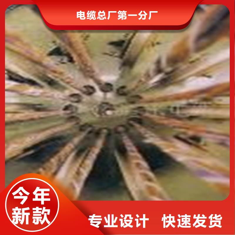 CC-LINKFANC-SB紫色通訊電纜