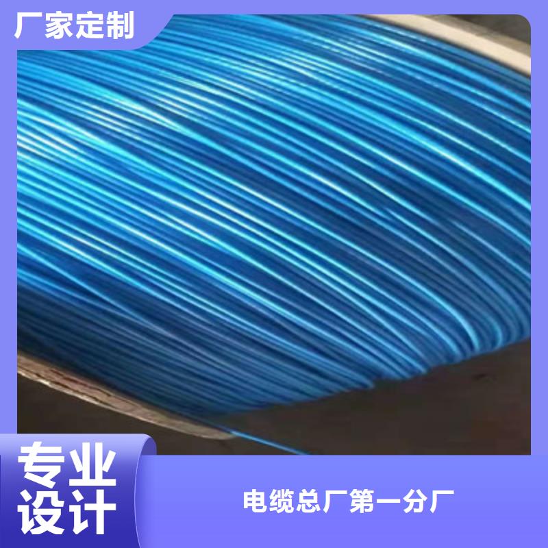 鎧裝DP通訊線2對0.75