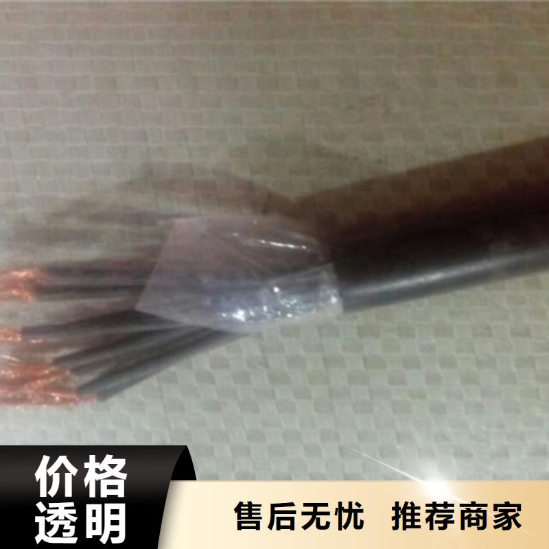 CAN-DW-RS485/92特種電纜1對1.5