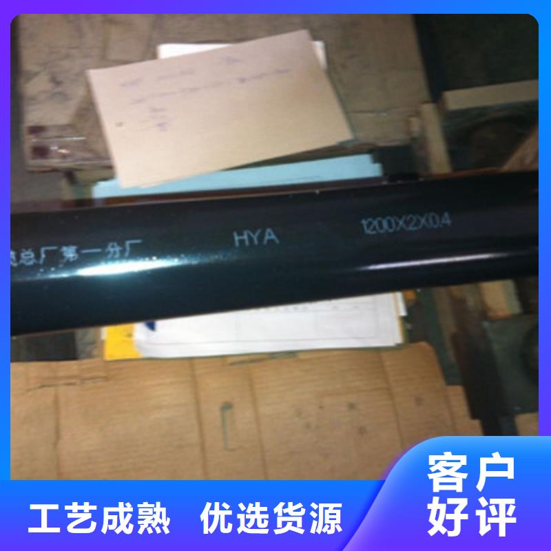 FF總線電纜10X0.4