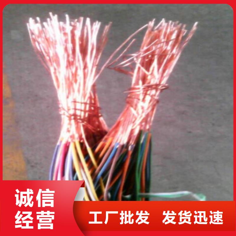 阻燃鎧裝廣播線ZR-HYPV22價格公道