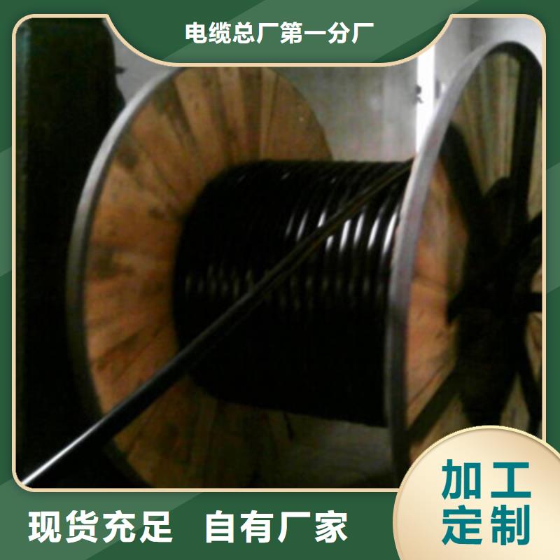 CAN-DW-RS485/92特種電纜1對1.5