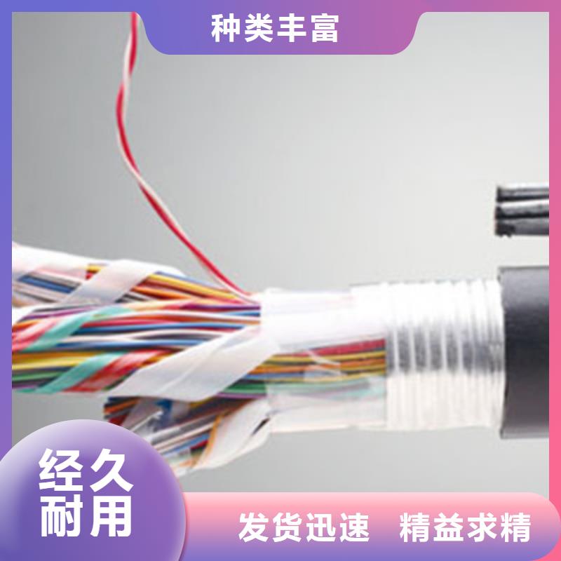 通信電纜_屏蔽電纜專業生產廠家