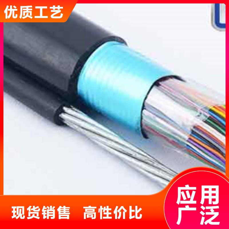 通信電纜_屏蔽電纜廠家售后完善