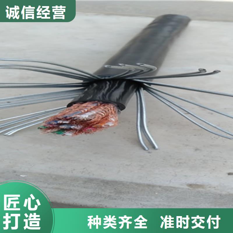 WDZ-DJVP3VP3-22低煙無鹵計算機電纜12X2X2.5