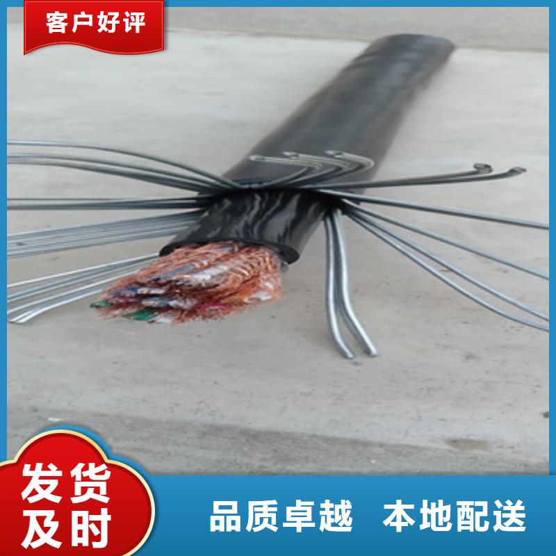 DJYPVP鎧裝計算機電纜10X2X0.75
