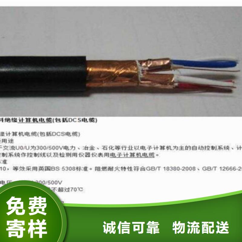 NH-DJYJPVR耐火計算機電纜24X2X0.75