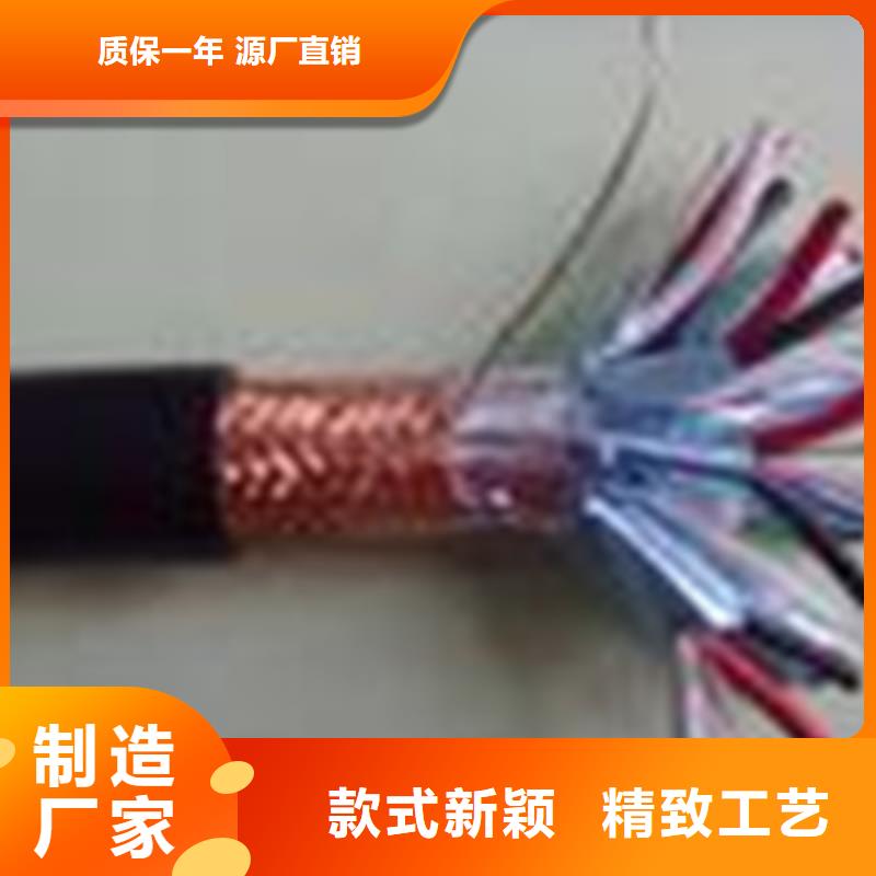阻燃計算機電纜ZR-DJVPVP227X2X2.5
