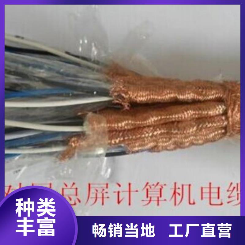 專業(yè)銷售耐火計算機(jī)電纜NH-DJYJVPR-現(xiàn)貨供應(yīng)