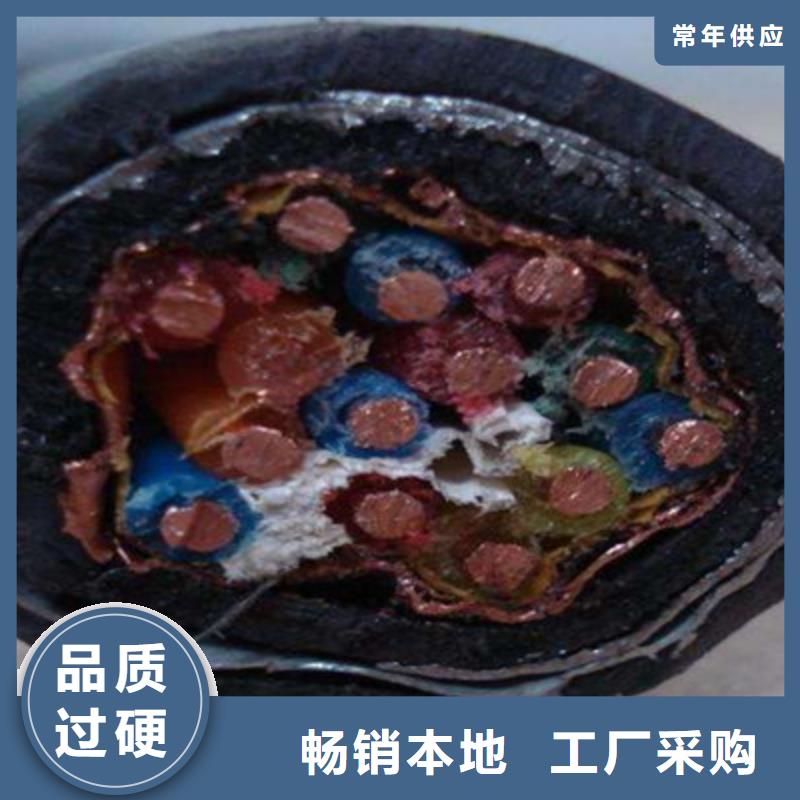 計(jì)算機(jī)電纜通信電纜支持定制加工