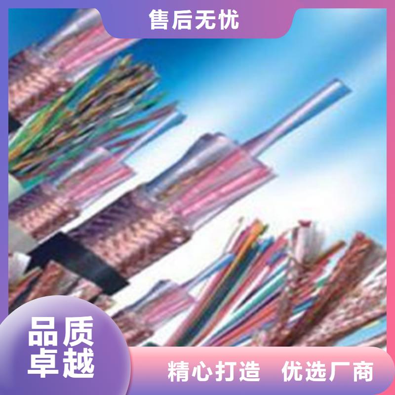 【計(jì)算機(jī)電纜鐵路信號(hào)電纜批發(fā)商】