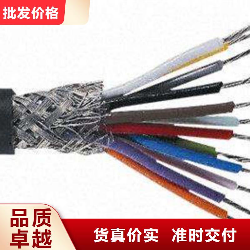 計(jì)算機(jī)電纜【屏蔽電纜】精選廠家好貨