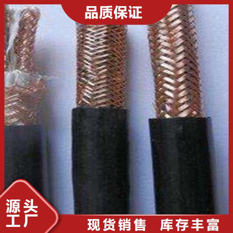 計(jì)算機(jī)電纜【屏蔽電纜】精選廠家好貨