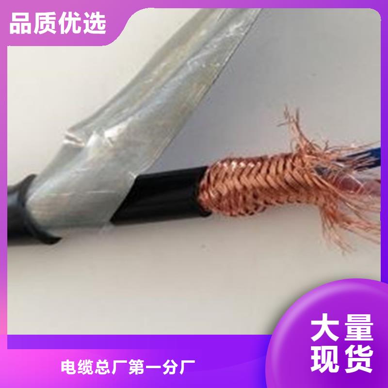 專業銷售耐火計算機電纜NH-DJYJVPR-現貨供應