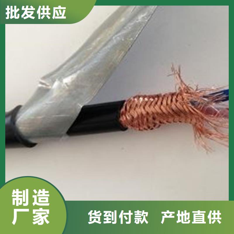 ZR-YRYVVSP阻燃雙絞線30X2X1.5