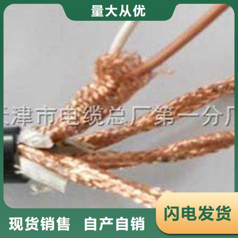 ZR-YRYVVSP阻燃雙絞線30X2X1.5