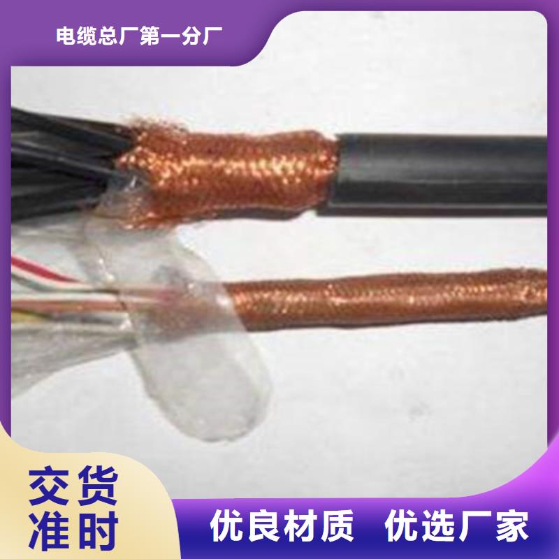 重信譽NH-SWAOS耐火計算機電纜供應廠家