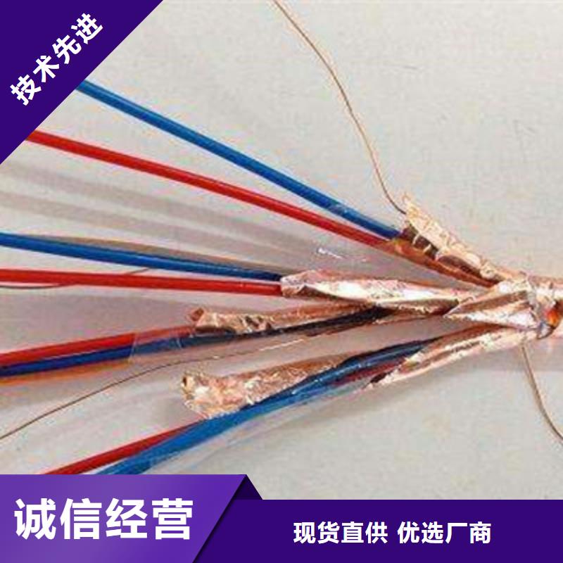 計算機電纜-【本安防爆電纜】本地配送