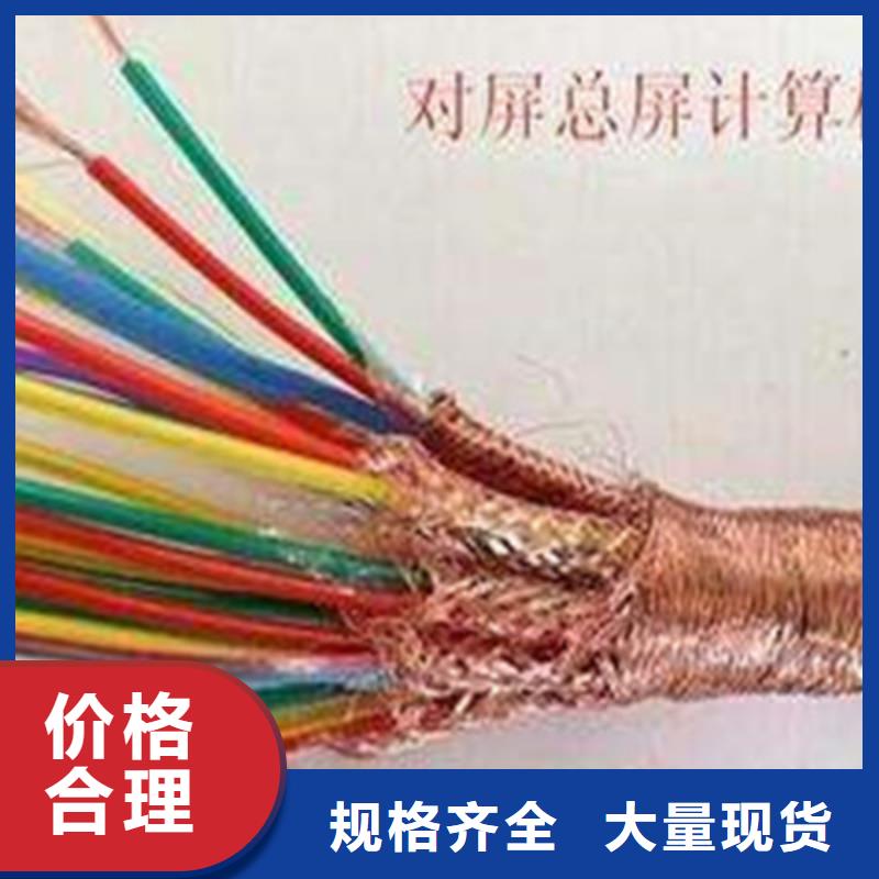鎧裝計(jì)算機(jī)電纜DJYJPVP施工廠家