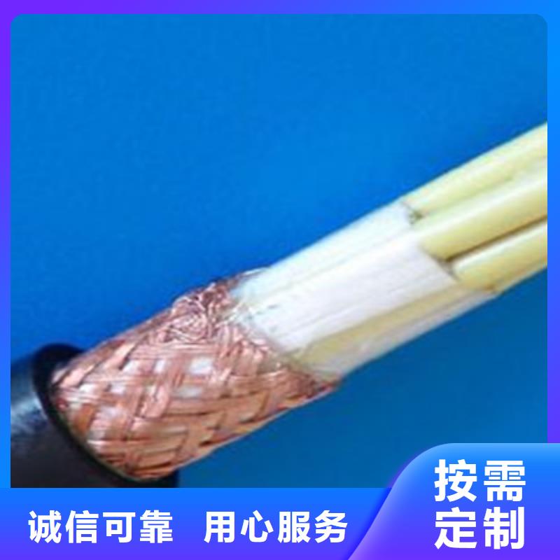 計算機電纜-【本安防爆電纜】本地配送