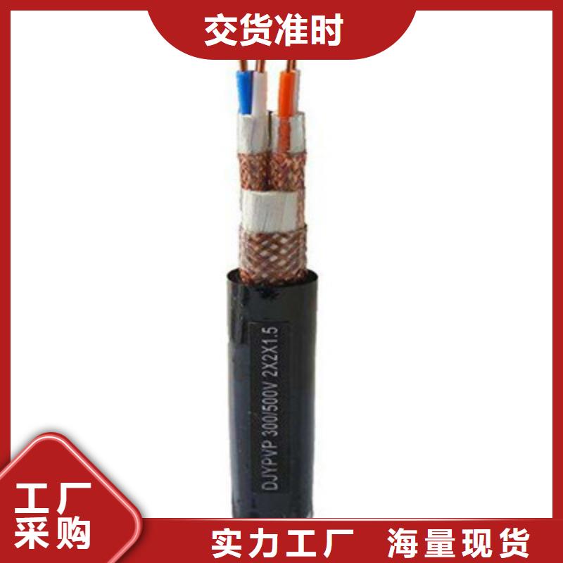 鎧裝計(jì)算機(jī)電纜DJYPCV7X2X0.75