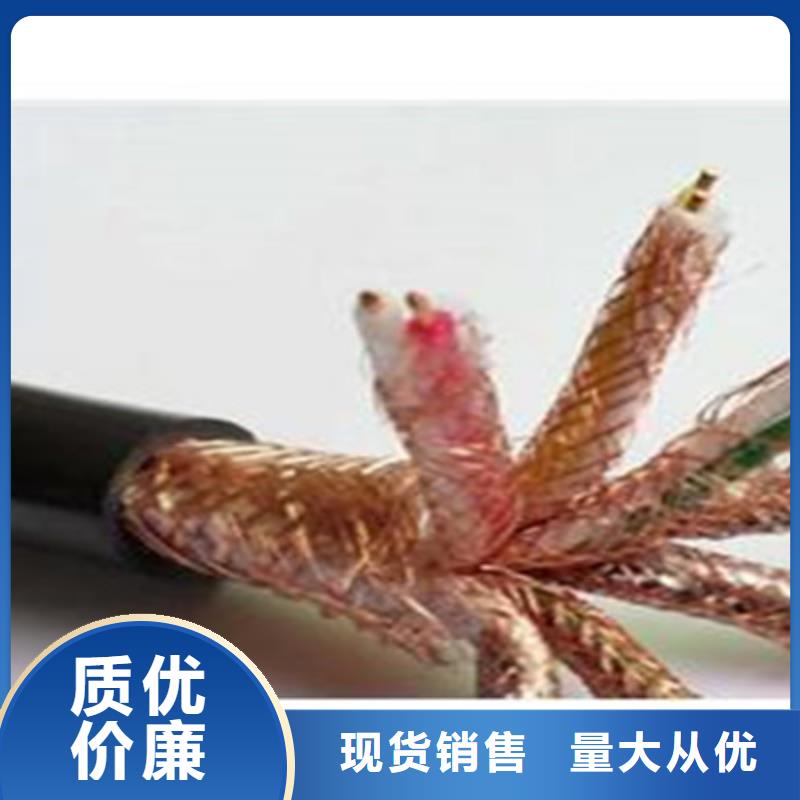 計(jì)算機(jī)屏蔽電纜DJYJP2V價(jià)格比較